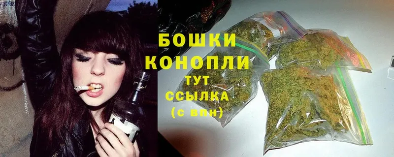 Конопля SATIVA & INDICA  Сосновка 